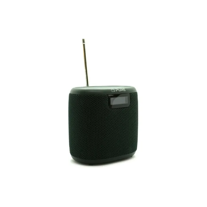 Pure Radio Woodland Mini Vert