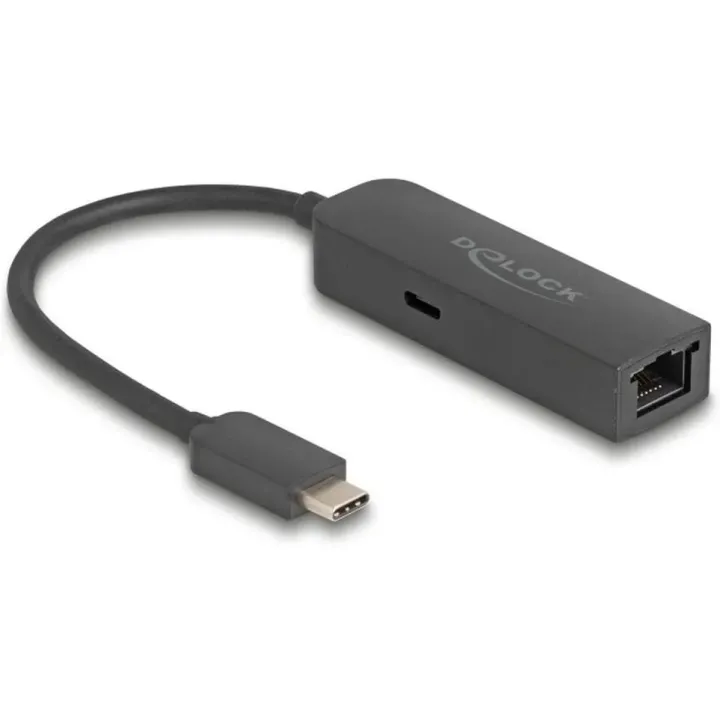 Delock Adaptateurs réseau USB-C – RJ45 2.5Gbps avec PD 100 watts