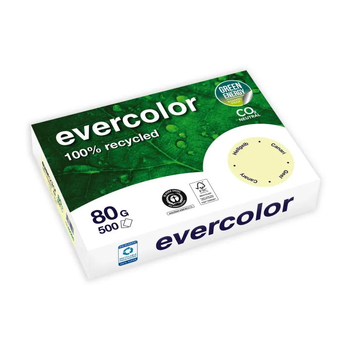 Clairefontaine Papier pour photocopie Evercolor A4, Jaune clair, 80 g-m², Blatt