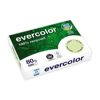 Clairefontaine Papier pour photocopie Evercolor A4, Vert clair, 80 g-m², Blatt