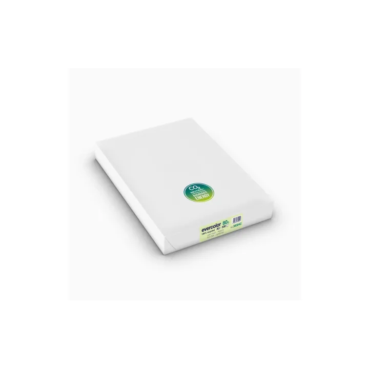 Clairefontaine Papier pour photocopie Evercolor A3, Vert clair, 80 g-m², Blatt