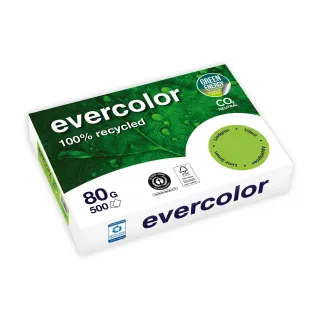 Clairefontaine Papier pour photocopie Evercolor A4, Vert tilleul, 80 g-m², Blatt