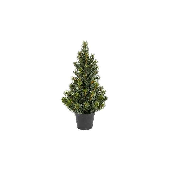 Botanic-Haus Sapin de Noël Sapin dans un pot, 51 cm