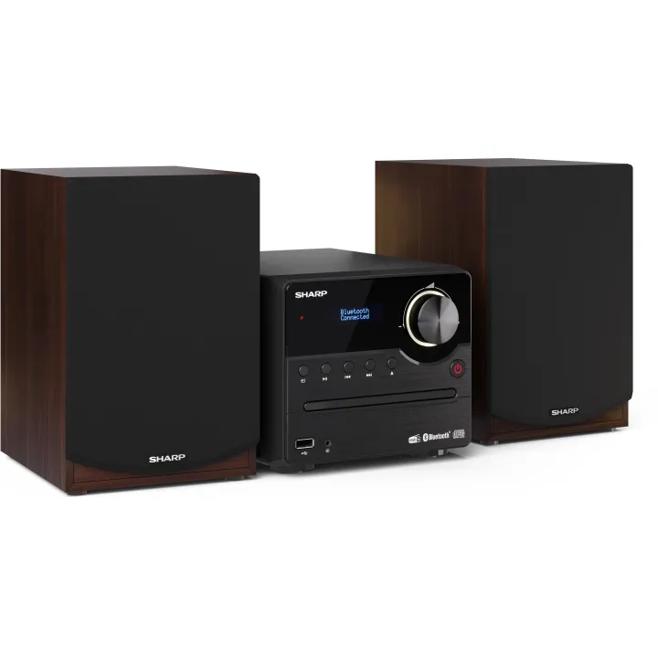 Sharp Systèmes audio XLB517DBR Microsystème DAB+-FM